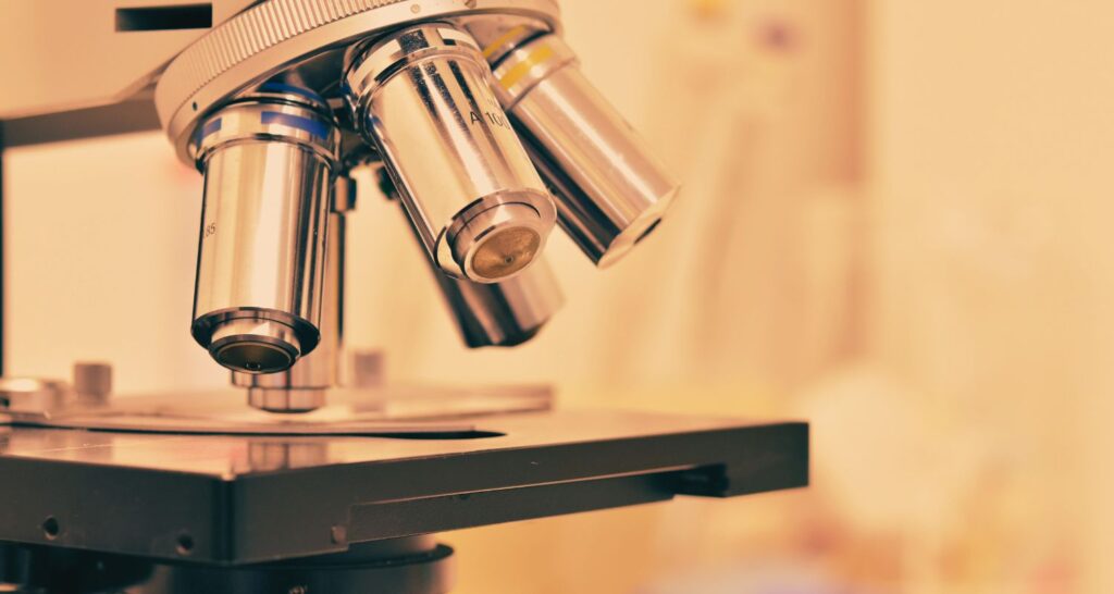 Badania zawartości metali ciężkich: kadmu, ołowiu, rtęci i arsenu. Data: 21.02.2025